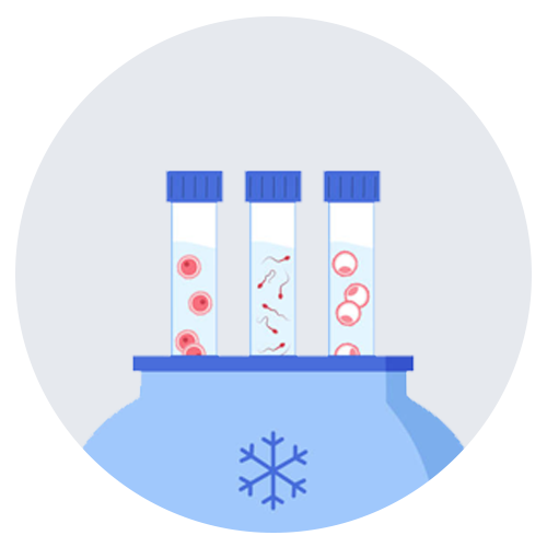 Embryo Freezing