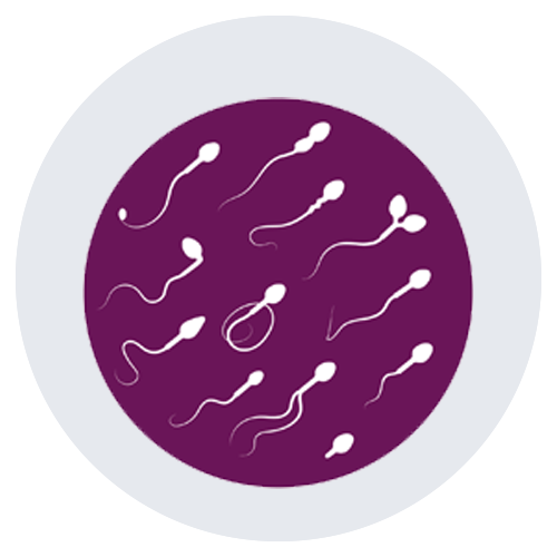 Oligospermia Treatment copy